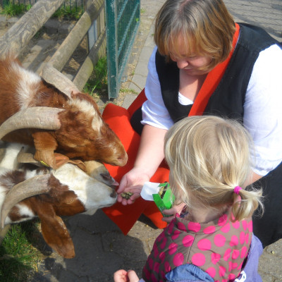 Tagesausflug in den Südpark